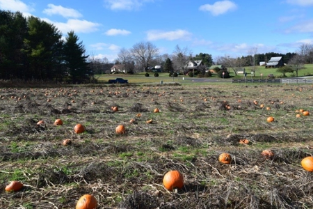 Building Site for Sale in Floyd VA! - image 10