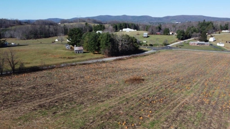 Level Building Lot for Sale in Floyd VA! - image 9