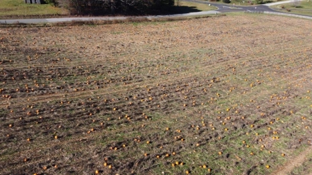 Level Building Lot for Sale in Floyd VA! - image 4