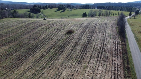 Level Building Lot for Sale in Floyd VA! - image 2