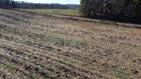 Level Building Lot for Sale in Floyd VA! - image 5