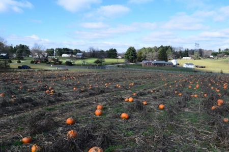 Level Building Lot for Sale in Floyd VA! - image 16