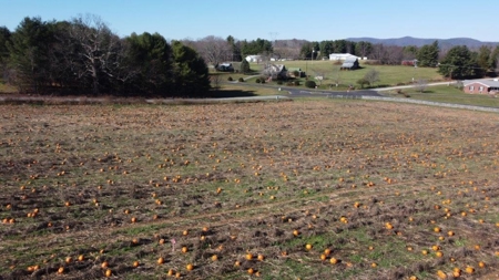 Level Building Lot for Sale in Floyd VA! - image 1