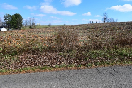 Level Building Lot for Sale in Floyd VA! - image 10