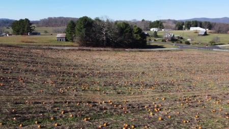 Small Building Lot for Sale in Floyd VA! - image 5