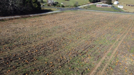 Small Building Lot for Sale in Floyd VA! - image 3