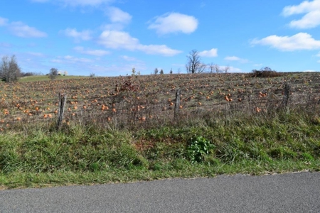 Small Building Lot for Sale in Floyd VA! - image 10