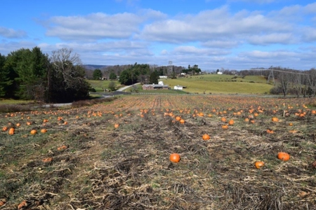 Small Building Lot for Sale in Floyd VA! - image 12