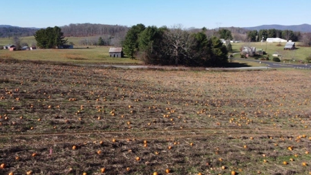 Small Building Lot for Sale in Floyd VA! - image 6