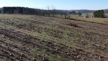 Land for Sale in Floyd VA! - image 4