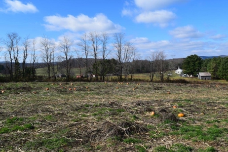 Land for Sale in Floyd VA! - image 12