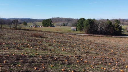 Land for Sale in Floyd VA! - image 5