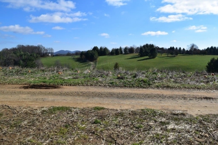 Floyd VA Land for Sale! - image 15