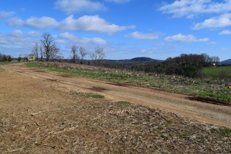 Floyd VA Land for Sale! - image 14