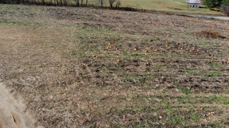 Floyd VA Land for Sale! - image 6