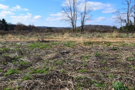 Floyd VA Land for Sale! - image 12