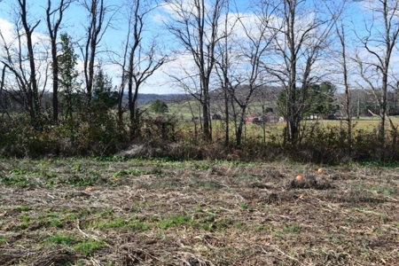 Floyd VA Land for Sale! - image 13