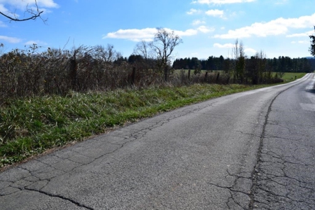 Building Site in Floyd VA for Sale! - image 14