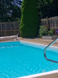Beautiful Brick Home for Sale in Glade Spring, VA - image 4