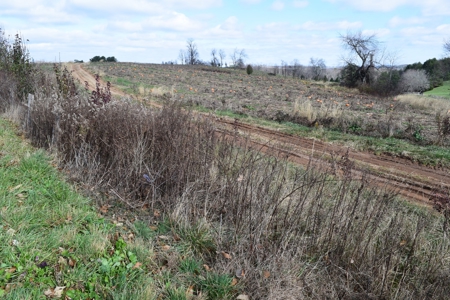 Floyd VA Home Site for Sale! - image 13