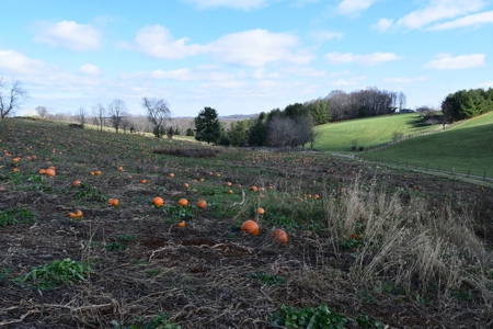 Floyd VA Home Site for Sale! - image 15