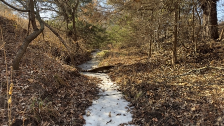 Missouri Farm For Sale With Exceptional Hunting 3.1% Roi !!! - image 5