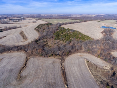 Missouri Farm For Sale With Exceptional Hunting 3.1% Roi !!! - image 25