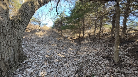 Missouri Farm For Sale With Exceptional Hunting 3.1% Roi !!! - image 4