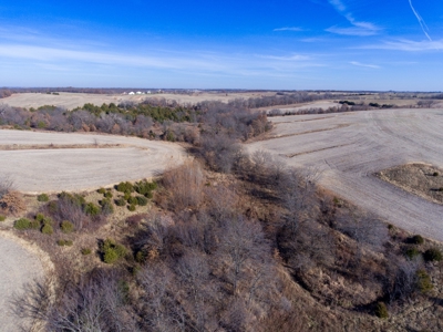 Missouri Farm For Sale With Exceptional Hunting 3.1% Roi !!! - image 11
