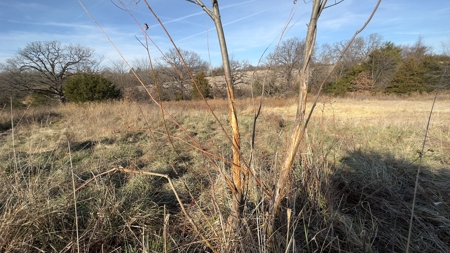 Missouri Farm For Sale With Exceptional Hunting 3.1% Roi !!! - image 7