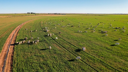 West Texas Multi-Parcel Auction - image 15