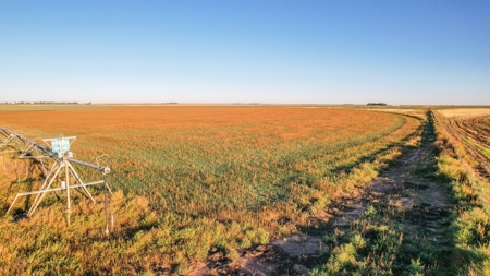 West Texas Multi-Parcel Auction - image 31