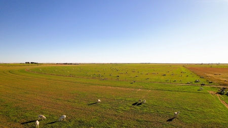 West Texas Multi-Parcel Auction - image 3