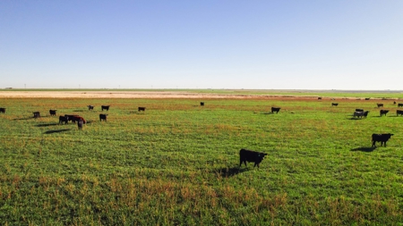 West Texas Multi-Parcel Auction - image 6