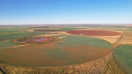 West Texas Multi-Parcel Auction - image 30