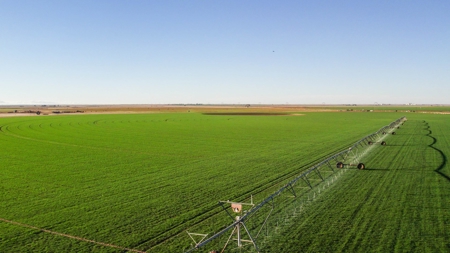 West Texas Multi-Parcel Auction - image 7