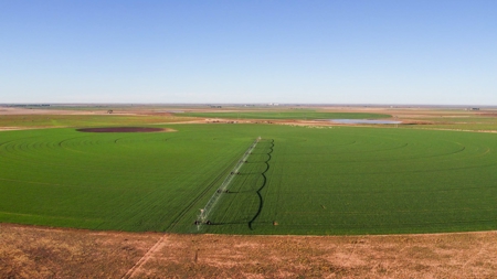 West Texas Multi-Parcel Auction - image 2