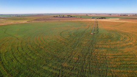 West Texas Multi-Parcel Auction - image 14