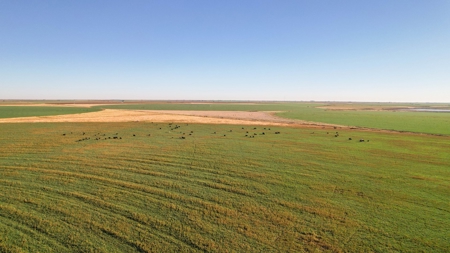 West Texas Multi-Parcel Auction - image 33