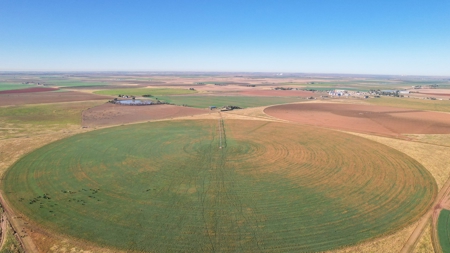 West Texas Multi-Parcel Auction - image 41