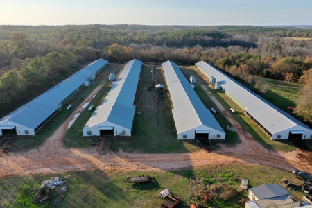 Bowen Poultry Farm - image 7
