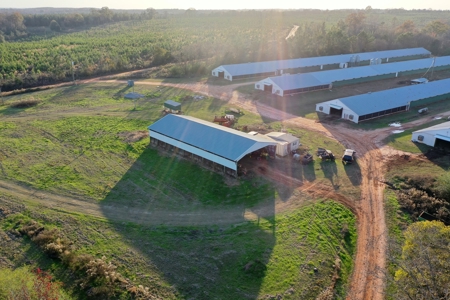 Bowen Poultry Farm - image 1