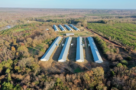 Bowen Poultry Farm - image 4