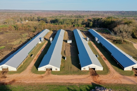 Bowen Poultry Farm - image 8