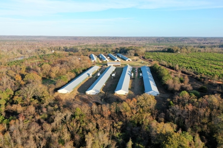 Bowen Poultry Farm - image 9