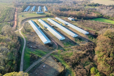 Bowen Poultry Farm - image 2