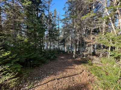 Coastal Land for Sale - image 7