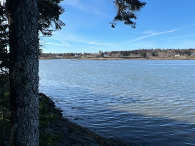 Coastal Land for Sale - image 3