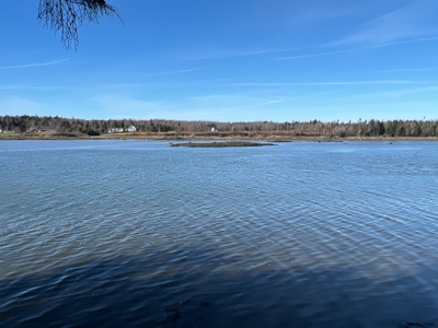 Coastal Land for Sale - image 1