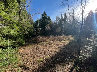 Coastal Land for Sale - image 6